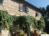 Review: Agriturismo Casanova Greve in Chianti, Italy “Feel Like A Local”