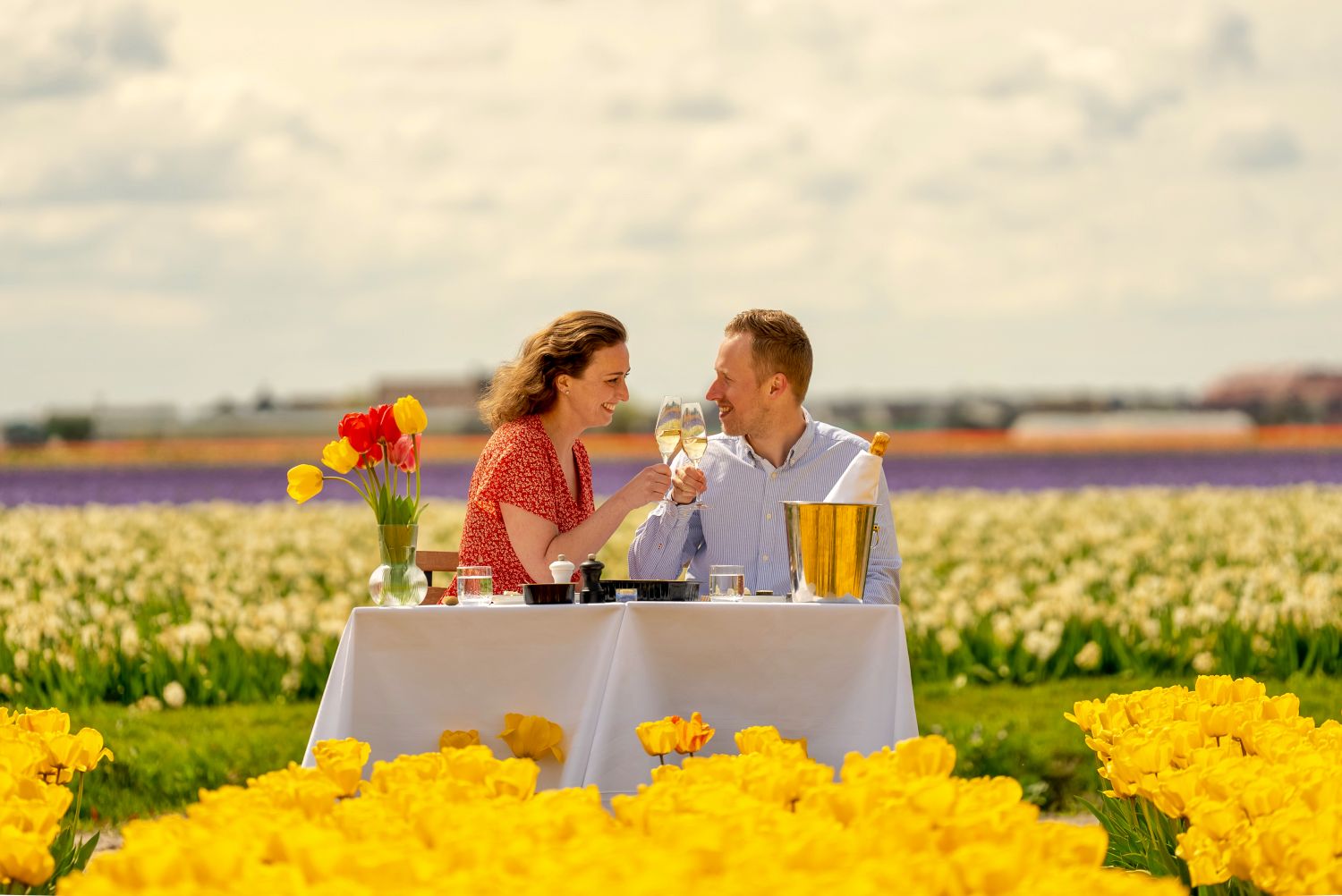Tulip season in Amsterdam+