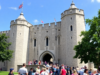 The Tour Guy Sees Surge in Demand for Exclusive, Expert-Led Adventures