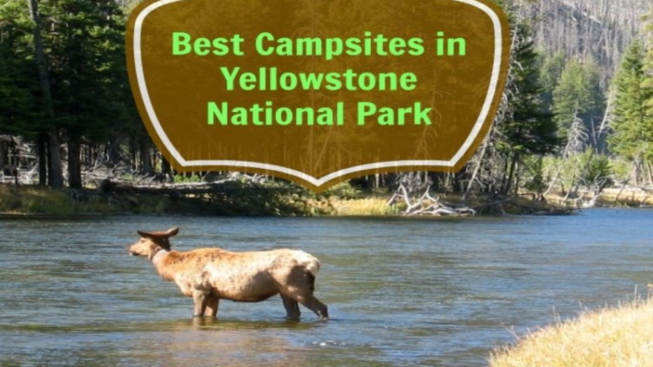 Yellowstone National Park Rv Parks >> Best Campsites In Yellowstone National Park Yellowstone National Park Rv Parks >> Best Campsites In Yellowstone National Park