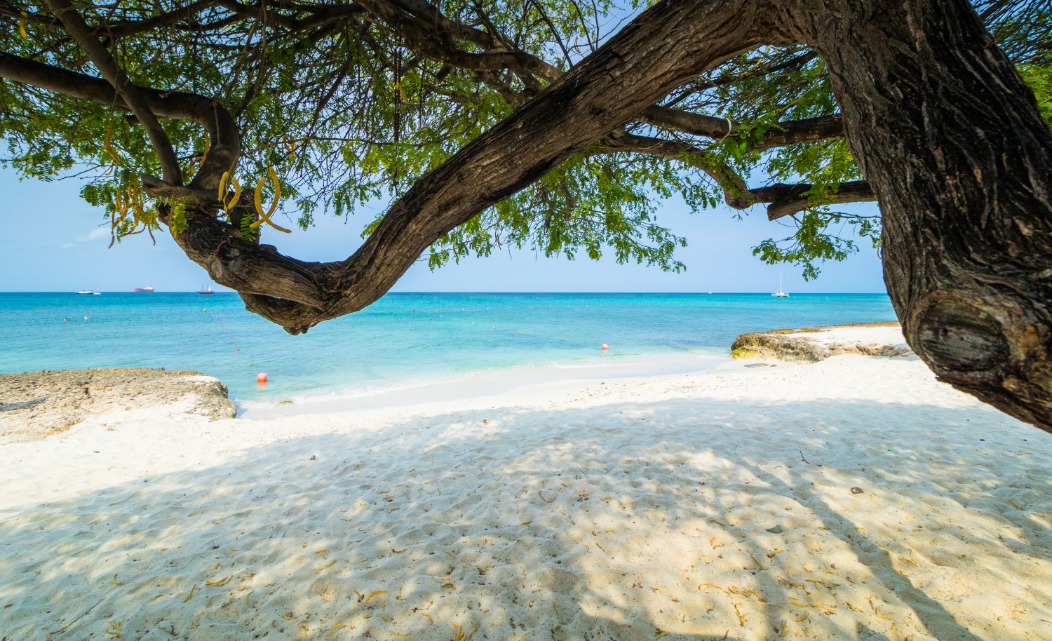 Boca Catalina Beach, Aruba