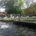 Burges-Boat-tour