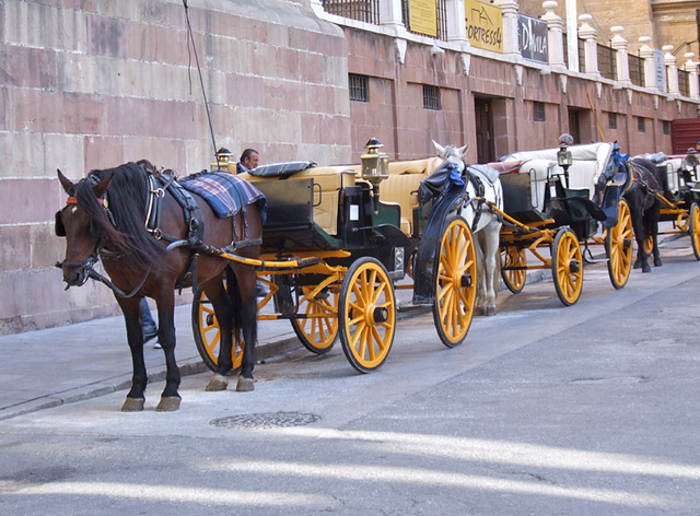 Horse-drawn carriage in Spain