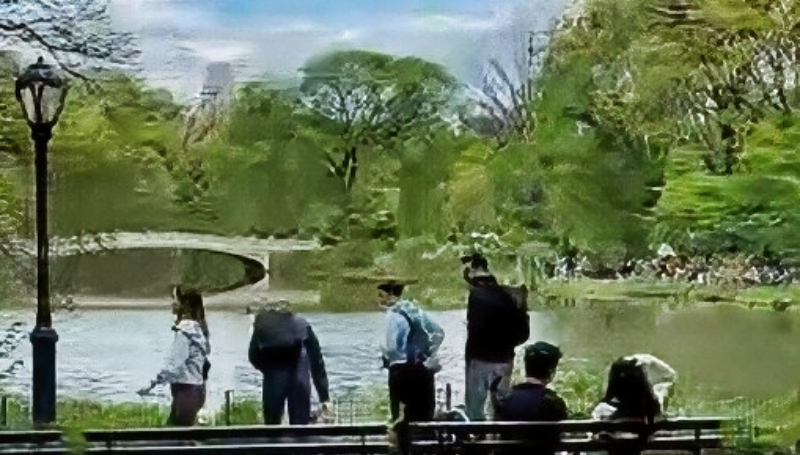 Central Park Pedicab Ride Tours - YouTube 1