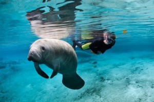 Ten Sunny Destinations: Escape The Winter Blues