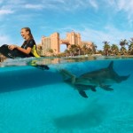 Atlantis, Paradise Island, Bahamas