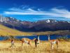 Chile To Welcome International Tourists In October 2021