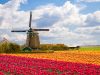 The Netherlands Tightens Entry Restrictions For US Travelers