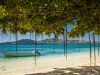 Look Forward To A Tropical Winter Vacation In Fiji