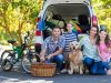 Planning a Family Road Trip to Utah National Parks