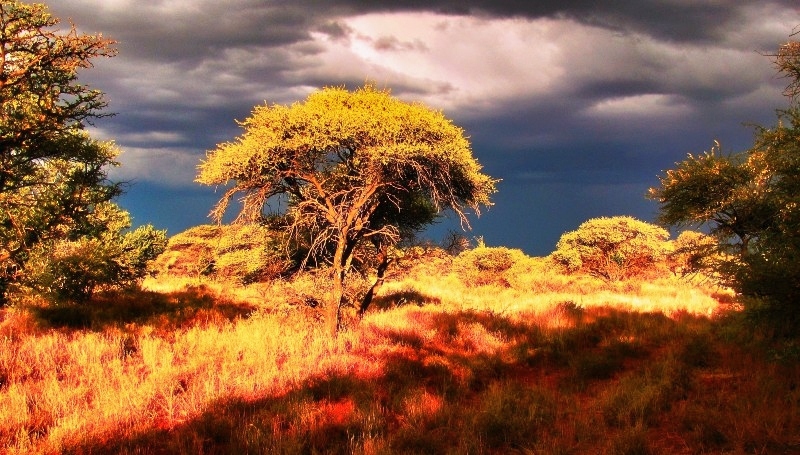 Ditch the itinerary take a chronocation - Image copyright J Flowers - Used with permission