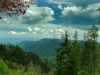 10 Most-Visited US National Parks In 2024 [PHOTOS]