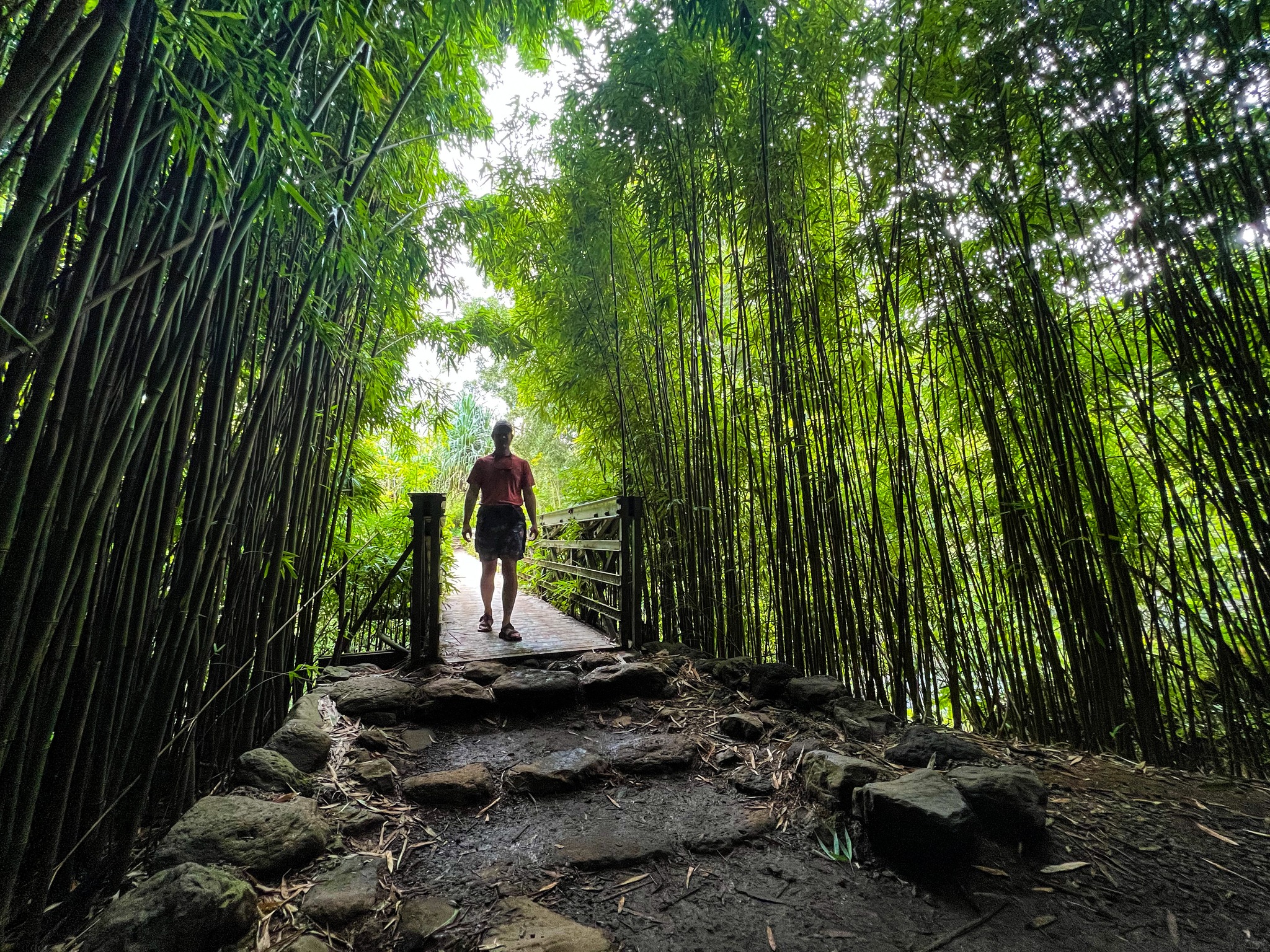 Haleakalā National Park