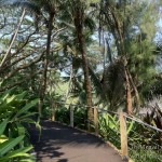 Hawaii Tropical Botanical Garden On The Big Island - Picnic In The Middle of A Nature Sanctuary