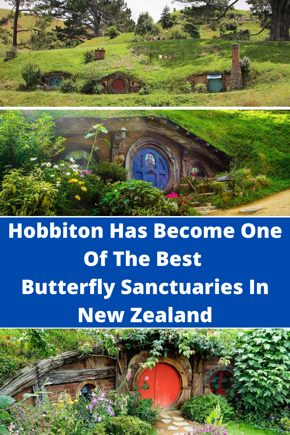 Hobbiton has become one of the best butterfly sanctuaries in New Zealand