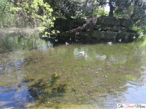 St. Stephen's Green - Dublin, Ireland "A Must See In the Heart of Dublin"