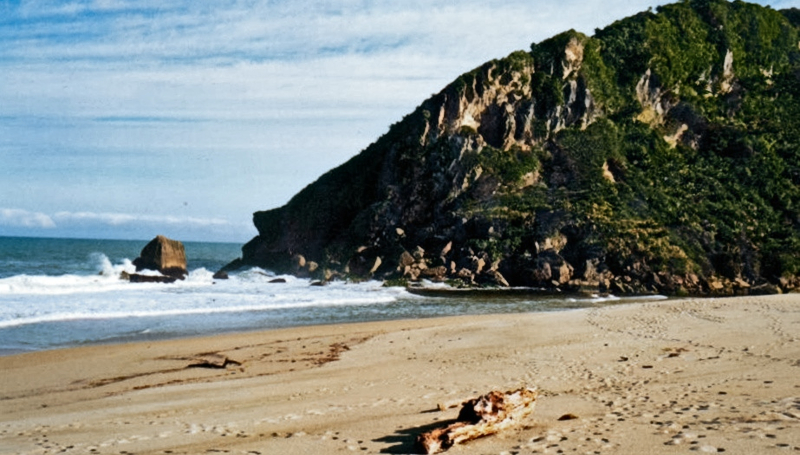 Karamea Warm West Coast - @Flowers