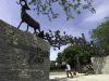 Chicago Family Freebies: Lincoln Park Zoo