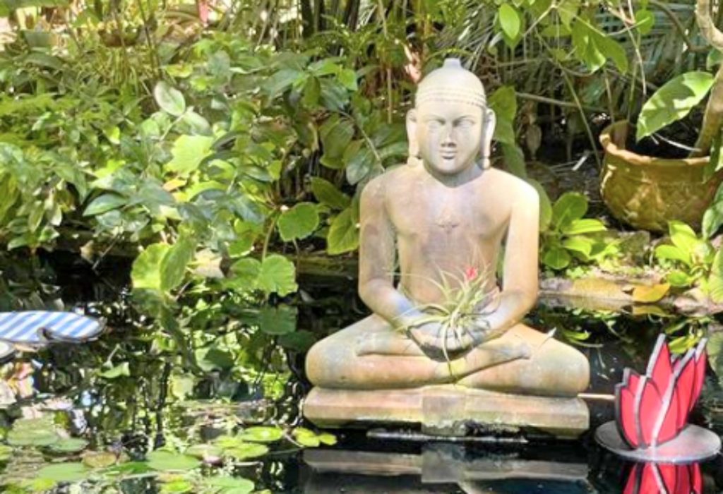 View A Monet-Inspired Pop Art Garden At Marie Selby Botanical Gardens