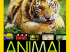 National Geographic Kids: Animal Encyclopedia The Perfect Gift – On Sale At Zulily