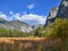Nature Vacation Destinations: California’s Sequoia and Kings Canyon National Parks
