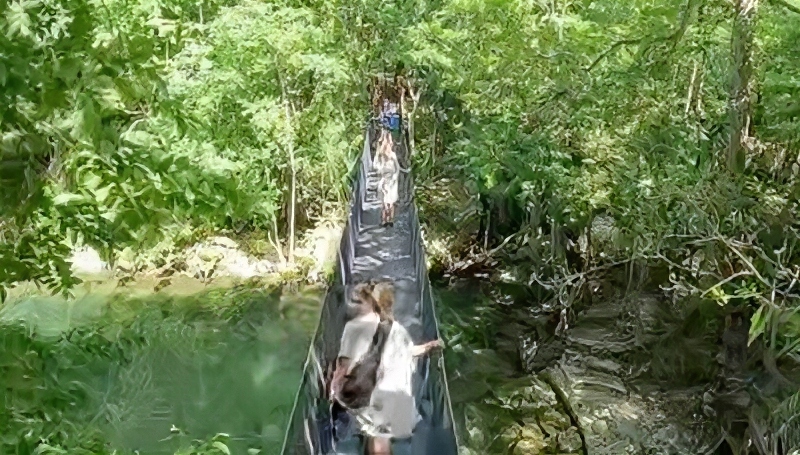 Nature is a big drawcard - Famable - YouTube