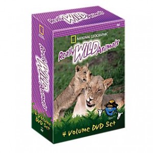Really Wild Animals for Children: National Geographic 4 DVD Set - Review #HolidayGiftGuide