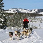 Five Unique & Fun Ways to Spend New Year's Eve