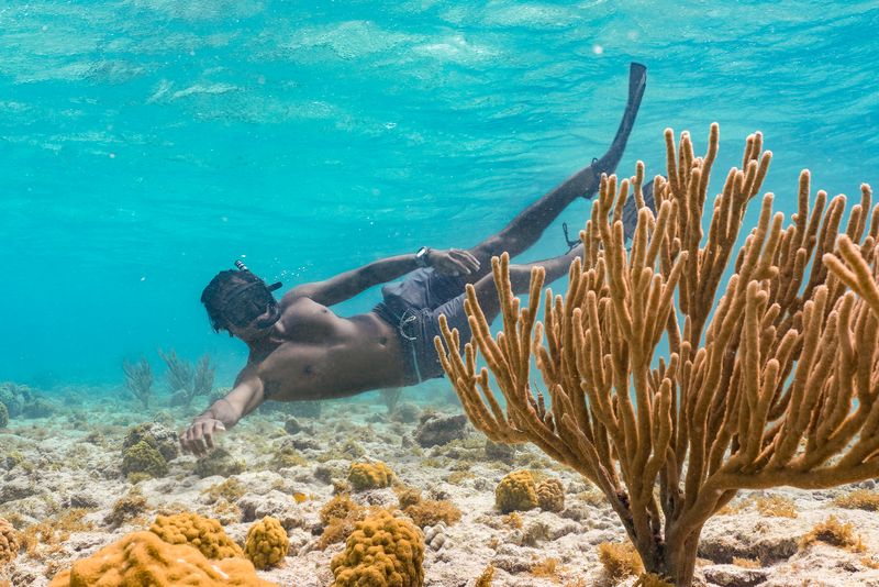 Snorkeling