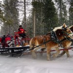 Five Unique & Fun Ways to Spend New Year's Eve