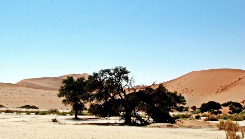 Sossusvlei Namibia - @janeflowers - Editorial Permissions
