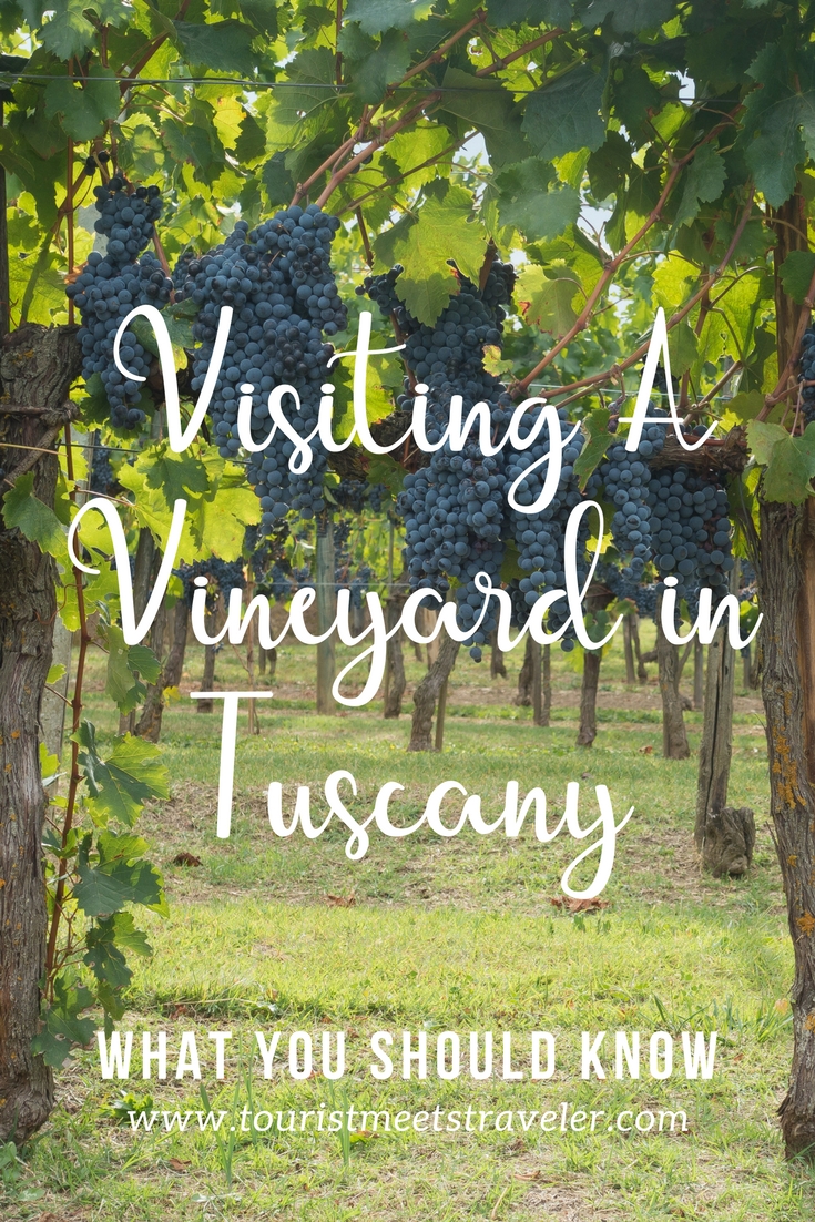 Visiting A Vineyard in Tuscany: What You Should Know