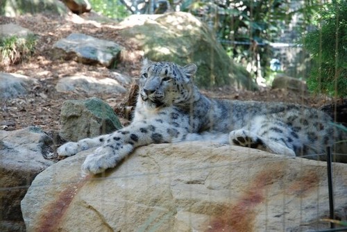 A Tail Worth Telling! Taronga's Announces Debut Of Two Adorable