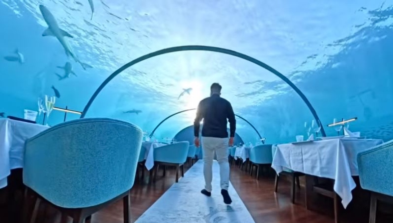 The underwater restaurant - Trek trendy - YouTube