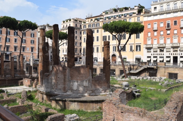 largo argentina cat sanctuary