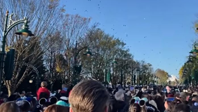 Visitors flock to Adventure unveiling - DLPWord - YouTube