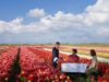 Anantara Grand Hotel Krasnapolsky Amsterdam Welcomes Tulip Season
