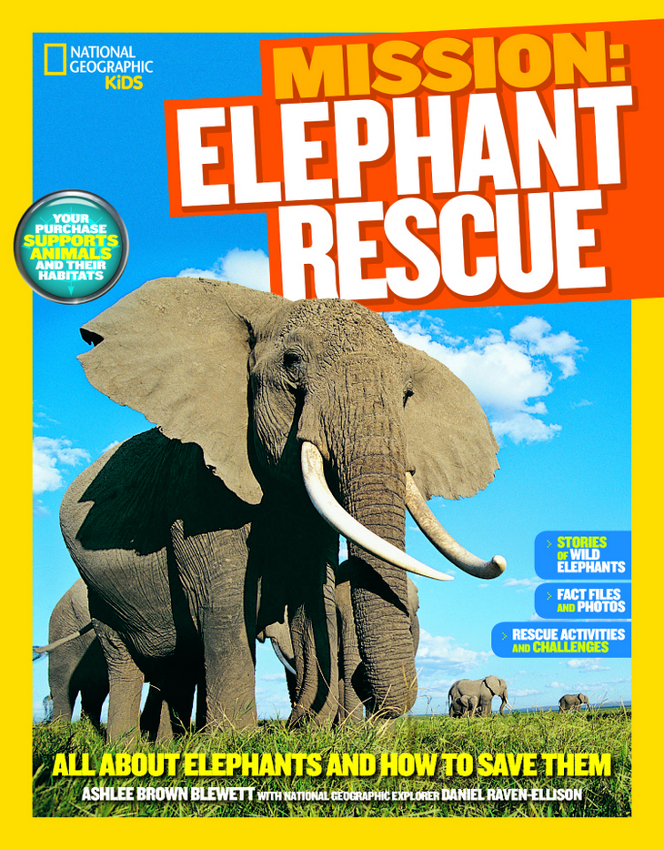 World Elephant Day Help Save Animals With National