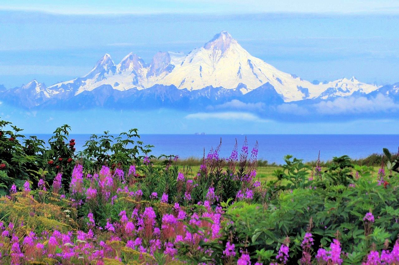 Alaskan scene