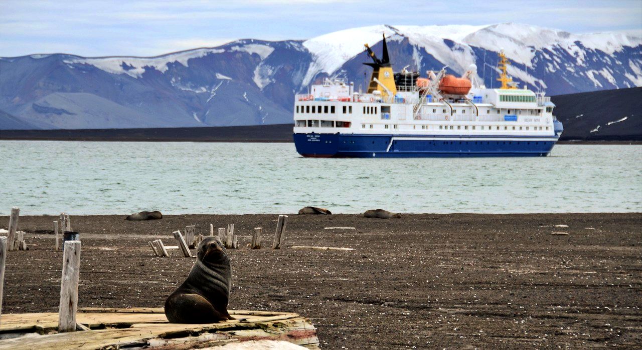 Cruise to Antarctica