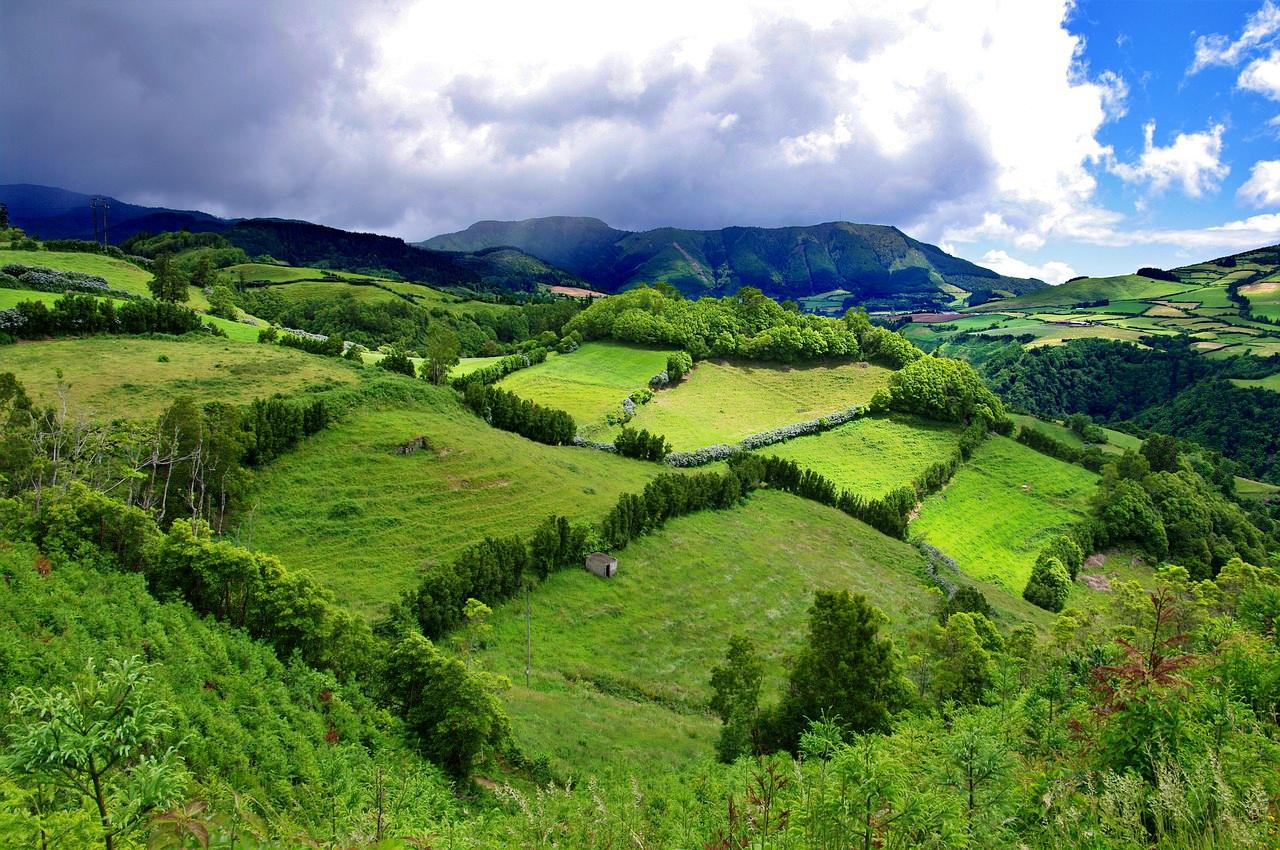 Green landscapes