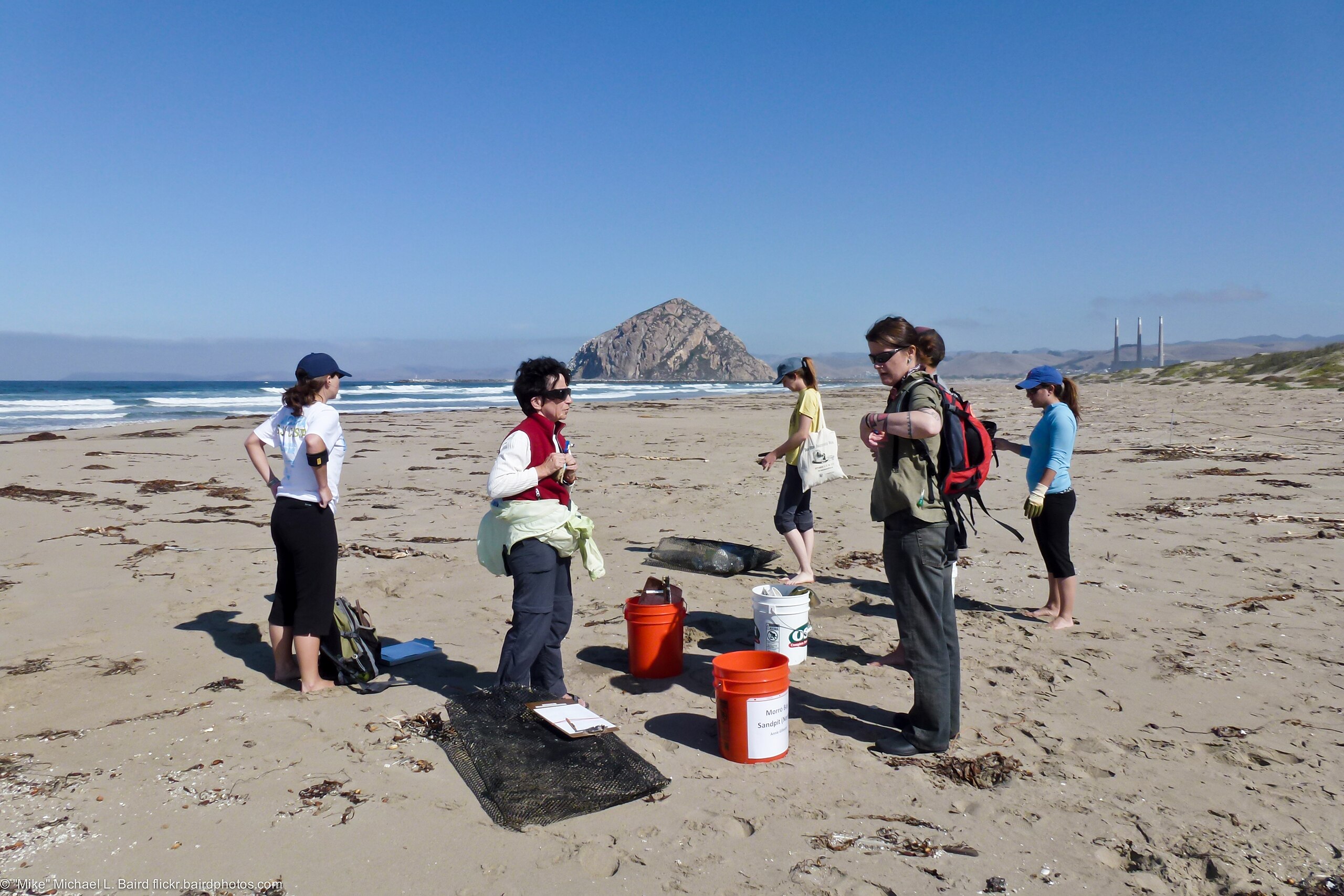 Volunteers in beach cleanup - good behavior