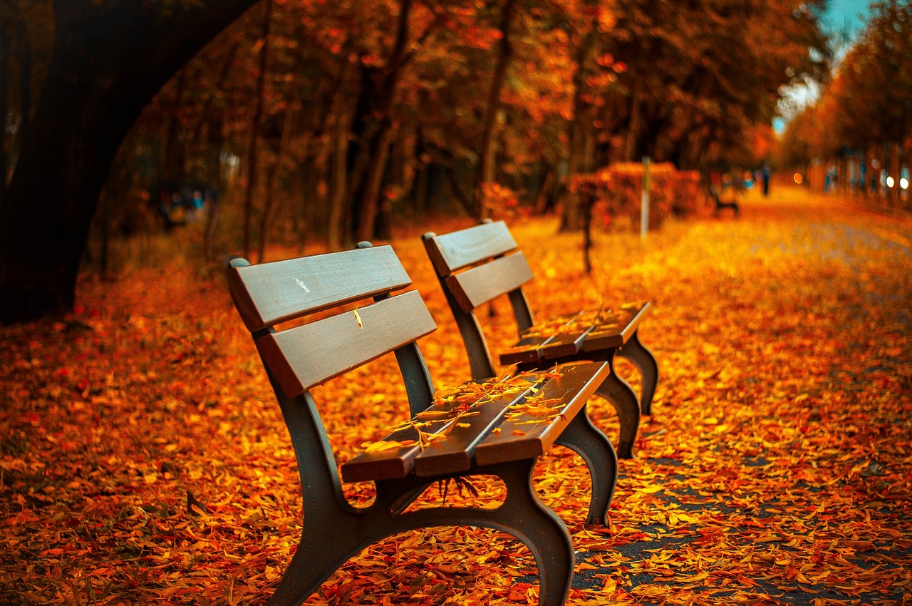 Best places for fall foliage in Europe