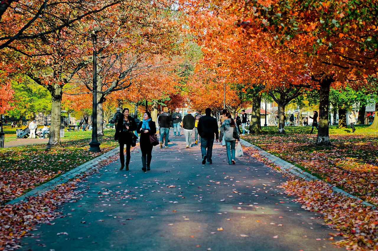 Boston Common in the fall