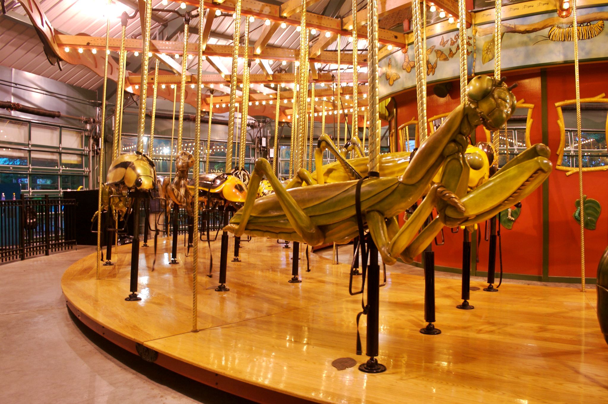 Bug carousel, Bronx Zoo