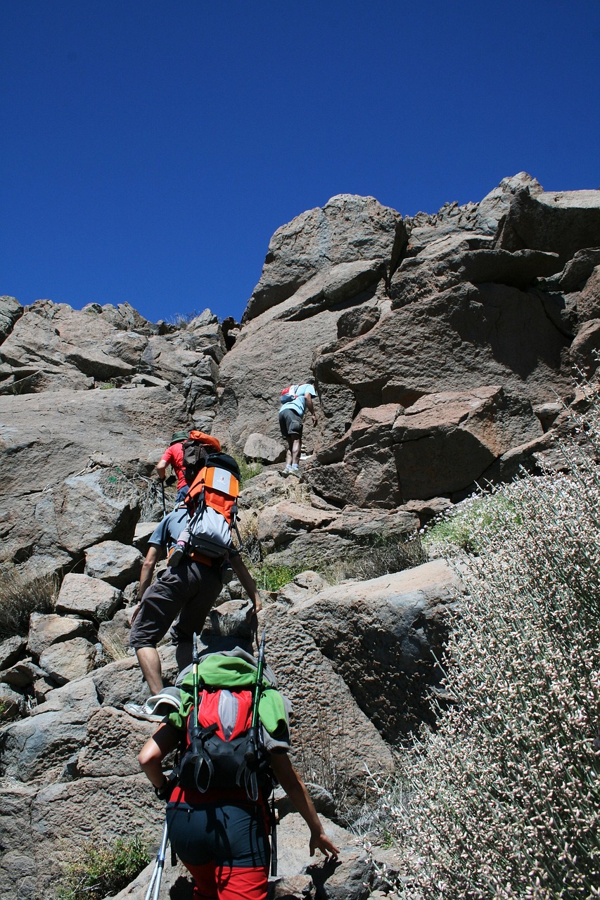 Teide National Park