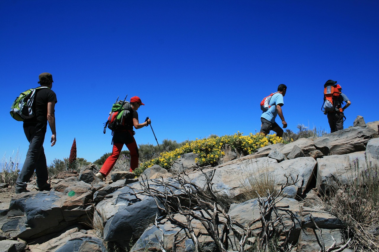 Hikers in Teide National Park