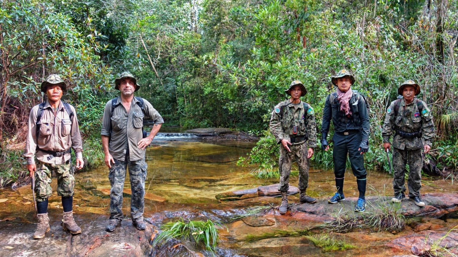 Forest Rangers