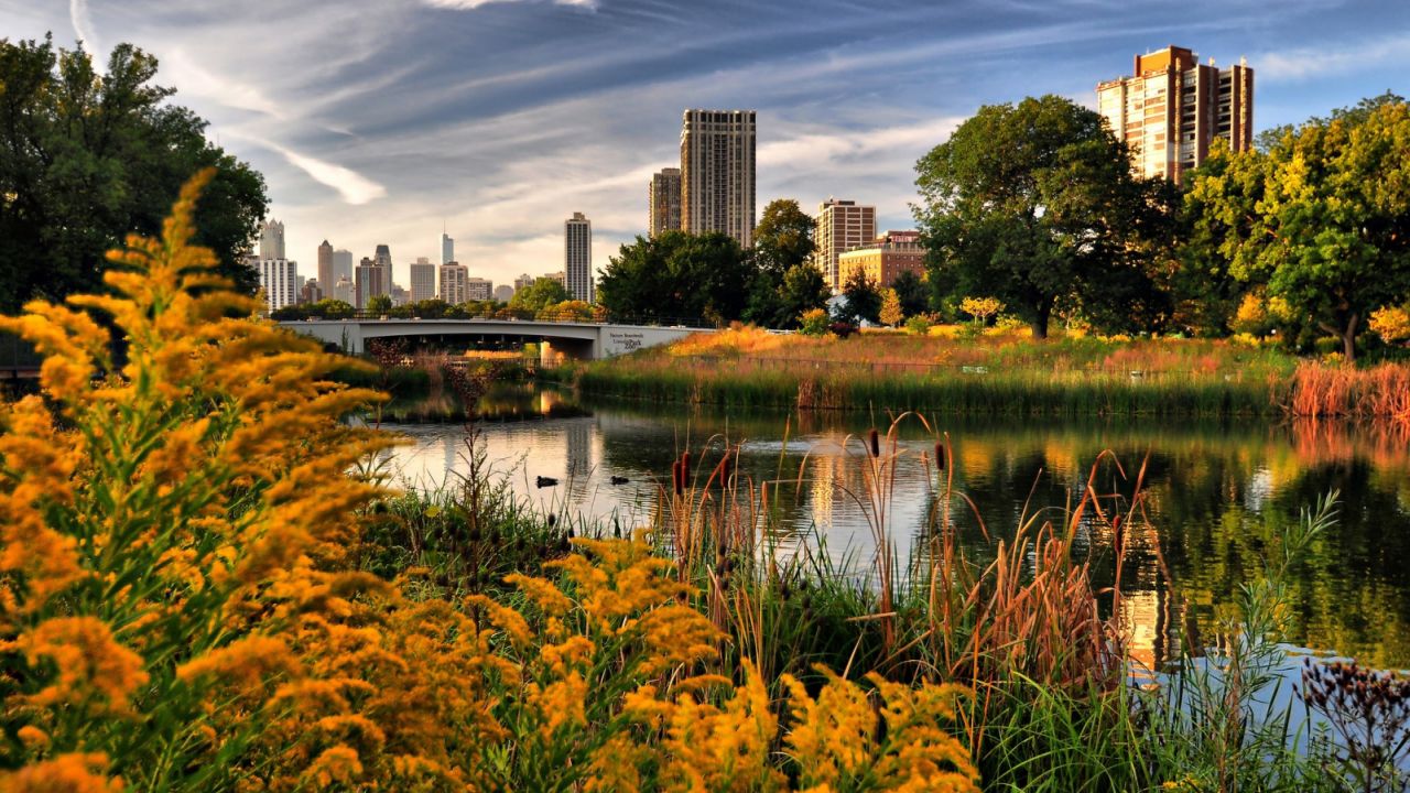 Chicago, Illinois in the fall