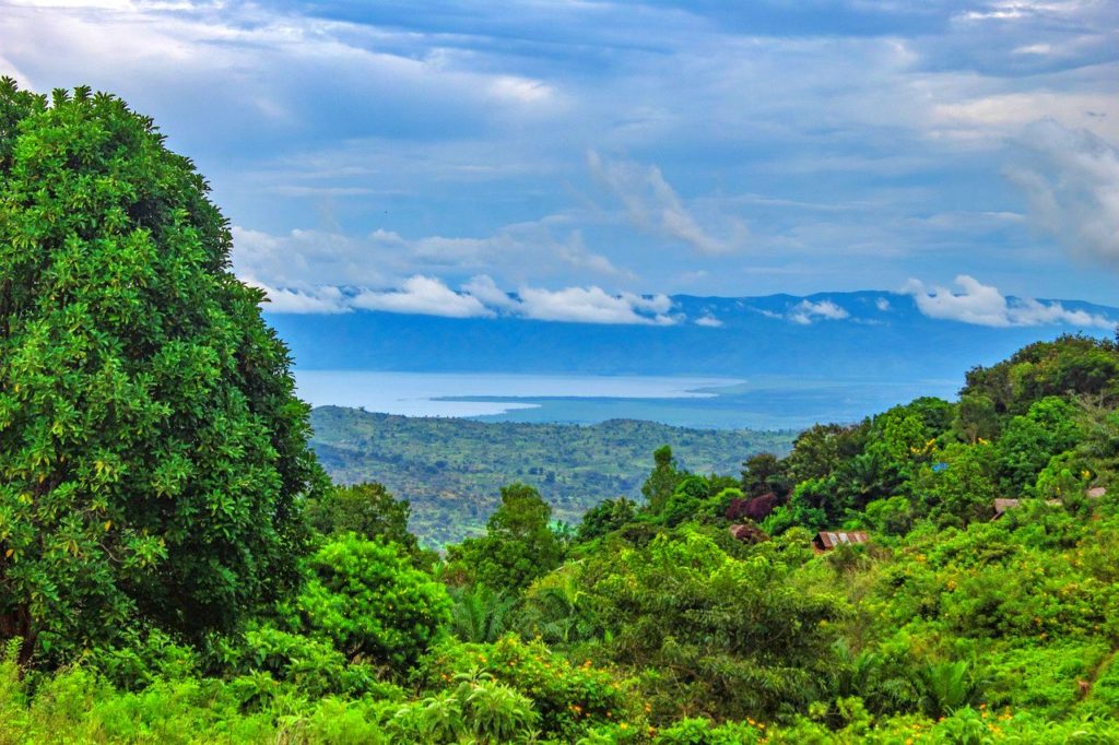 Congo {Democratic Rep} location